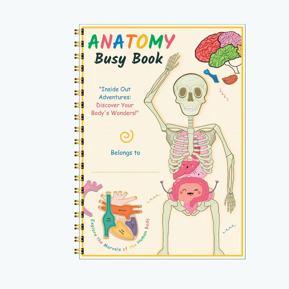 2025 New Creative Human Anatomy Notebook Creative Fun Anatomy Education Textbook To Learn Body Structure and Organs